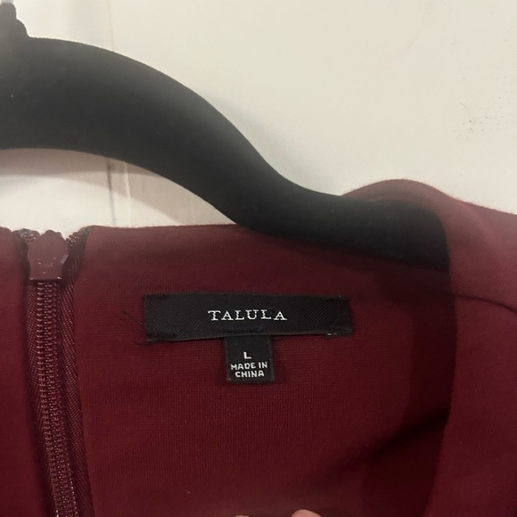 Talula by Aritzia size L, Manzanita Bordeaux wine colored cropped sleeeless tank - Picture 3 of 5